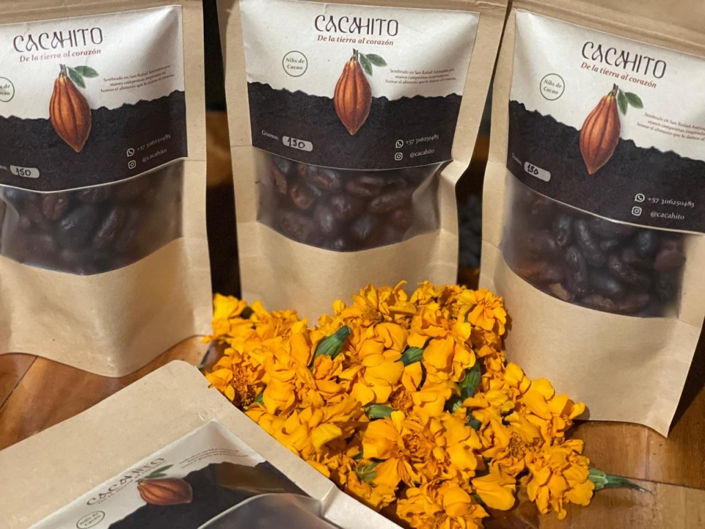 El Oro Pardo: homenaje al Día mundial del Cacao